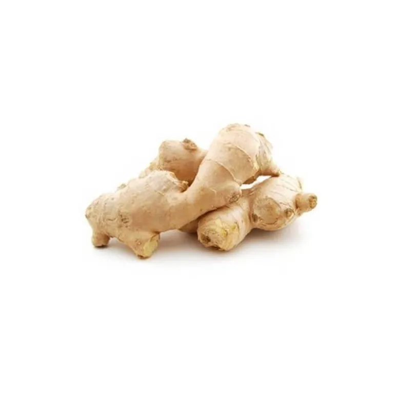 Gingembre (zingiber officinale) - huile essentielle bio - 10ml garantie chromace