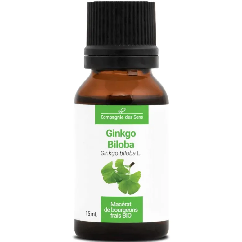 Ginkgo biloba bio - 15ml (ginkgo biloba) – macérat concentré de bourgeons frais 15