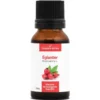 Églantier bio - 15ml (rosa canina) – macérat concentré de bourgeons frais 15