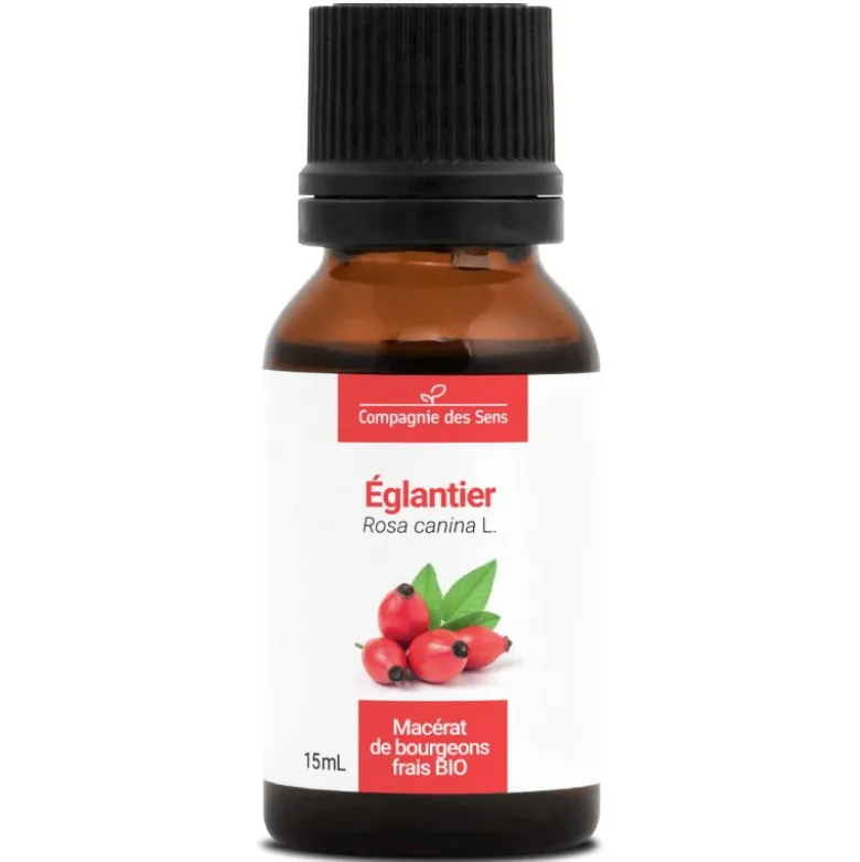 Églantier bio - 15ml (rosa canina) – macérat concentré de bourgeons frais 15
