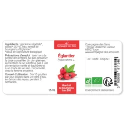 Églantier bio - 15ml (rosa canina) – macérat concentré de bourgeons frais 15