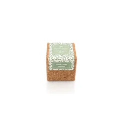 Grow cube aimanté basilic