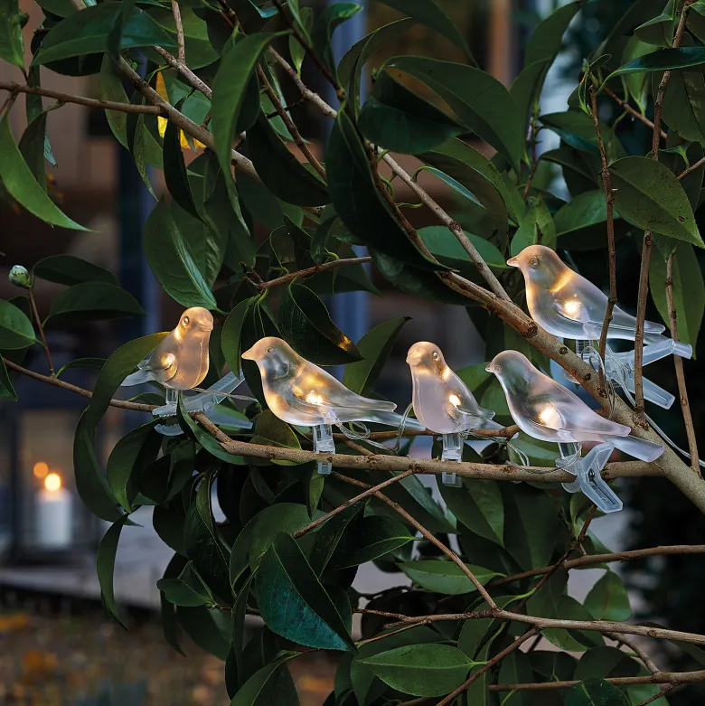Guirlande solaire Oiseaux de nuit