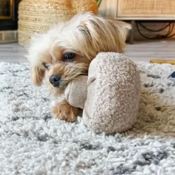 Guu, jouet occupation chien champignon s