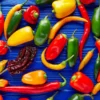 Hamac chile xl multicolor