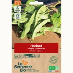 Haricot vert plat grimpant vitalis bio