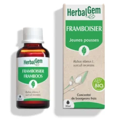 Herbalgem - bourgeon de framboisier - bio