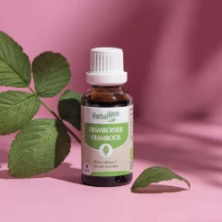 Herbalgem - bourgeon de framboisier - bio