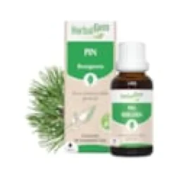 Herbalgem - bourgeon de pin - bio