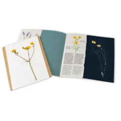 Herbier presse-fleurs