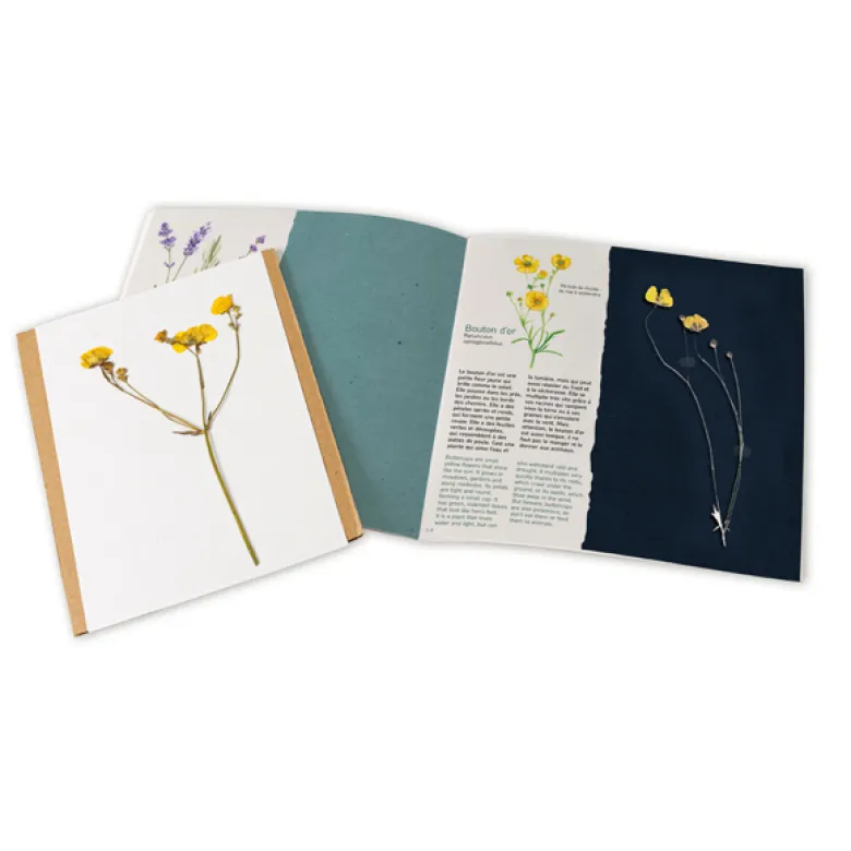 Herbier presse-fleurs