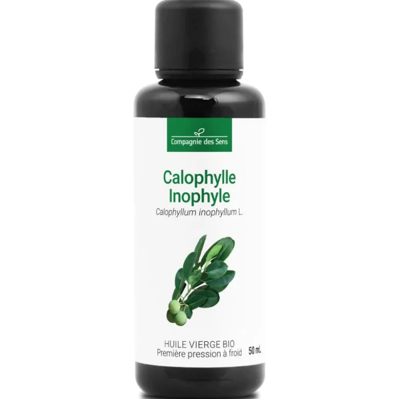 Huile de calophylle inophyle bio - 50ml - fraîcheur garantie oxycert® - vierge &