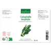 Huile de calophylle inophyle bio - 100ml - fraîcheur garantie oxycert® - vierge