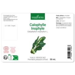 Huile de calophylle inophyle bio - 100ml - fraîcheur garantie oxycert® - vierge