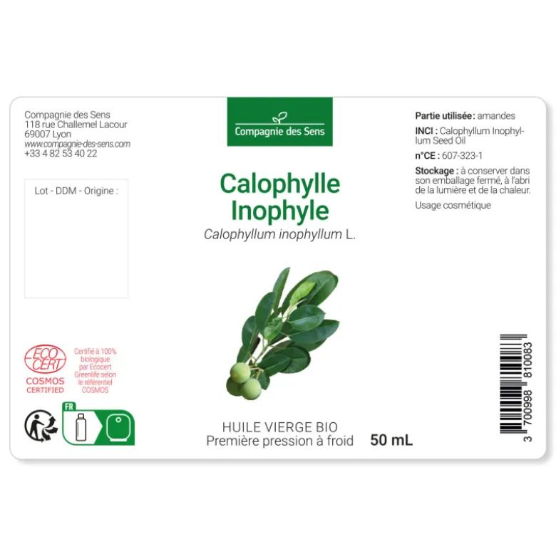 Huile de calophylle inophyle bio - 100ml - fraîcheur garantie oxycert® - vierge