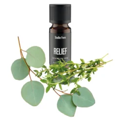Huile essentielle eucalyptus & bois reli