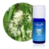 Huile essentielle eucalyptus citron. Bio