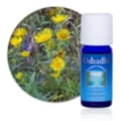 Huile essentielle inule odorante bio