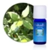 Huile essentielle laurier noble bio