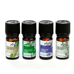 4 huiles essentielles indispensables été