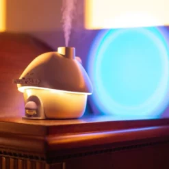 Humidificateur maison champignon rose