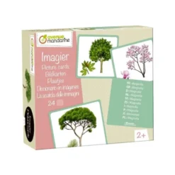 Imagier des arbres