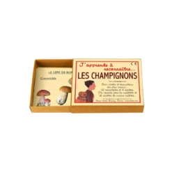 J'apprends à reconnaître les champignons