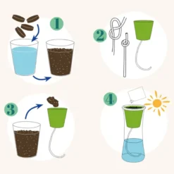Jardin autonome : persil - bio