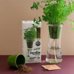 Jardin autonome : persil - bio