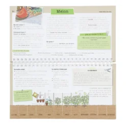 Je sème mes légumes et ça marche
