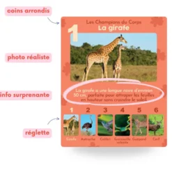 Jeu de 7 familles, les animaux rigolos