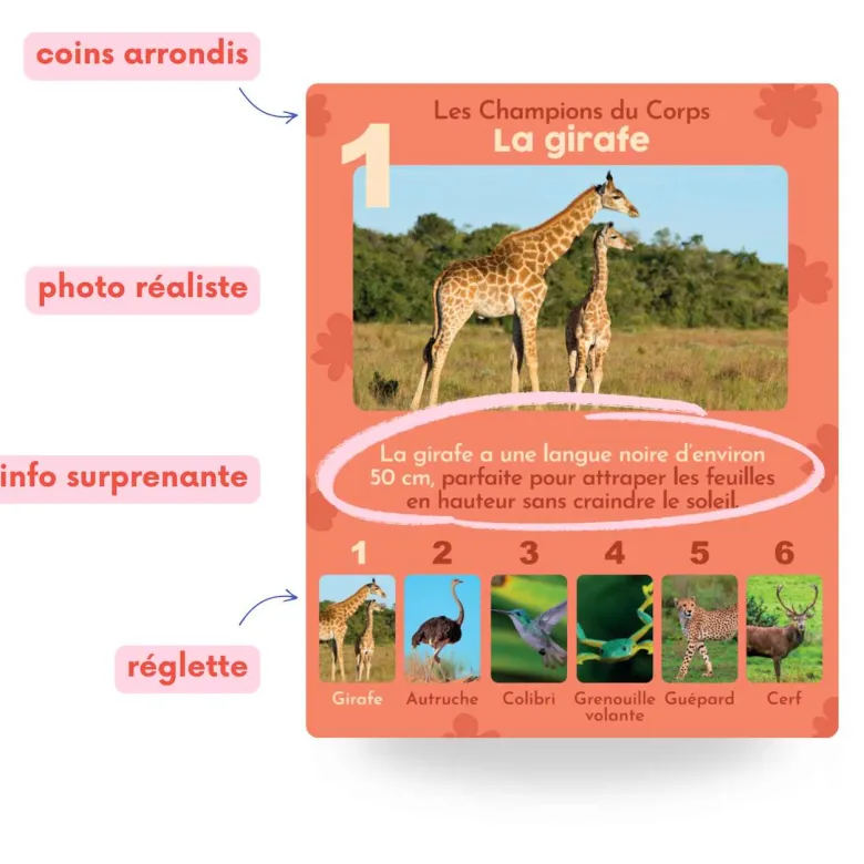Jeu de 7 familles, les animaux rigolos