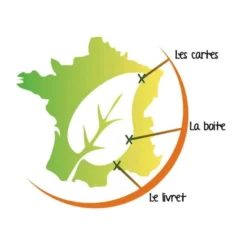 Jeu pollen