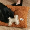 Jouet pour chien - blanc