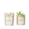 Kit bio prêt à pousser roquette