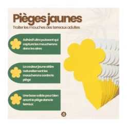 Kit contre mouches des terreaux - nématodes et pièges englués