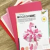 Kit créatif en mousse - coloris rose