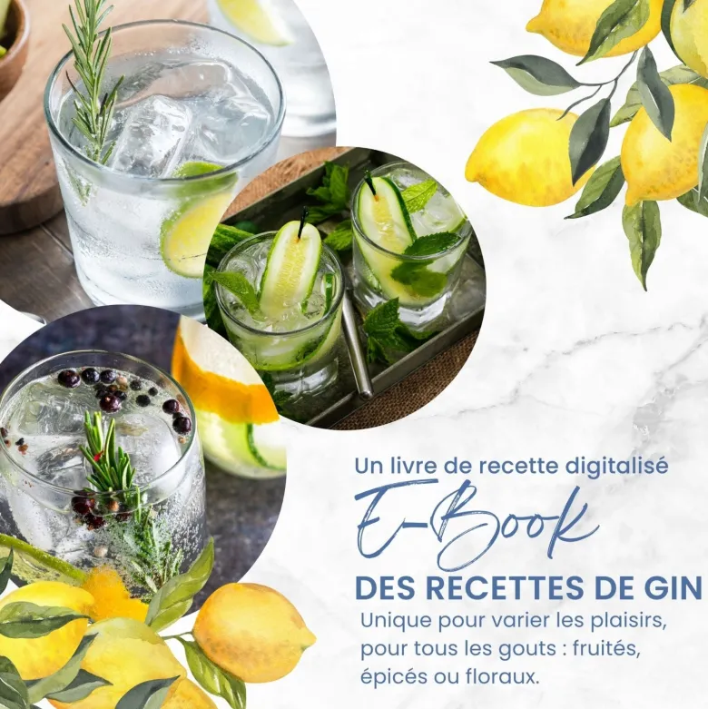 Kit découverte aromatisation gin
