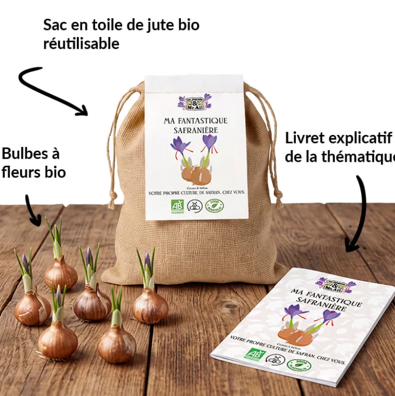 Kit de bulbes bio - ma fantastique safranière