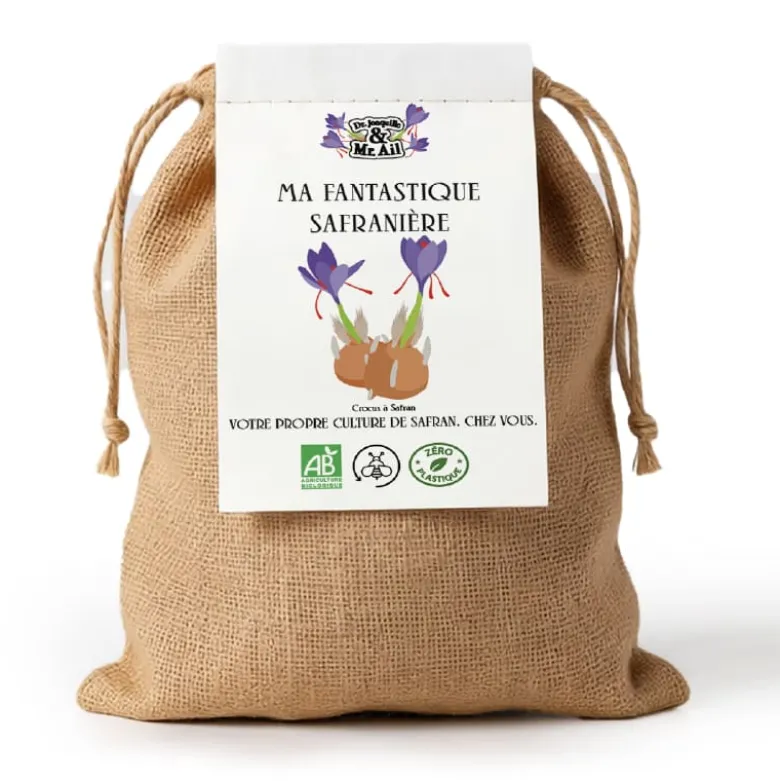 Kit de bulbes bio - ma fantastique safranière
