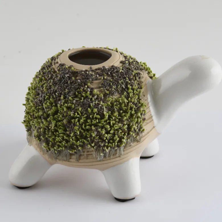 Kit de culture cresson tortue