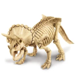 Kit de fouille triceratops