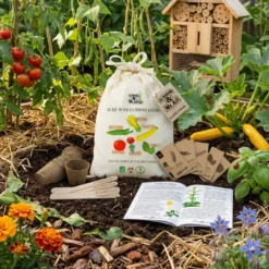 Kit de graines bio - pour la permaculture