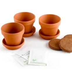Kit de jardinage 3 pots de piments à faire pousser du doux au plus relevé