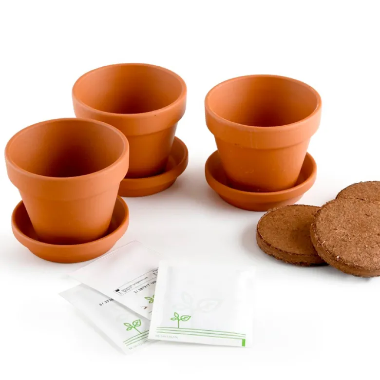 Kit de jardinage 3 pots de piments à faire pousser du doux au plus relevé