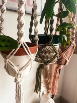 Kit diy suspension macramé agave - créez votre décoration pour plantes