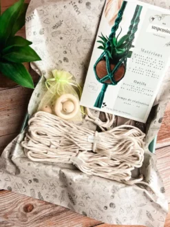 Kit diy suspension macramé écru - créez votre décoration pour plantes