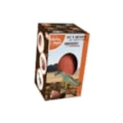 Kit à déterrer figurine de dinosaures