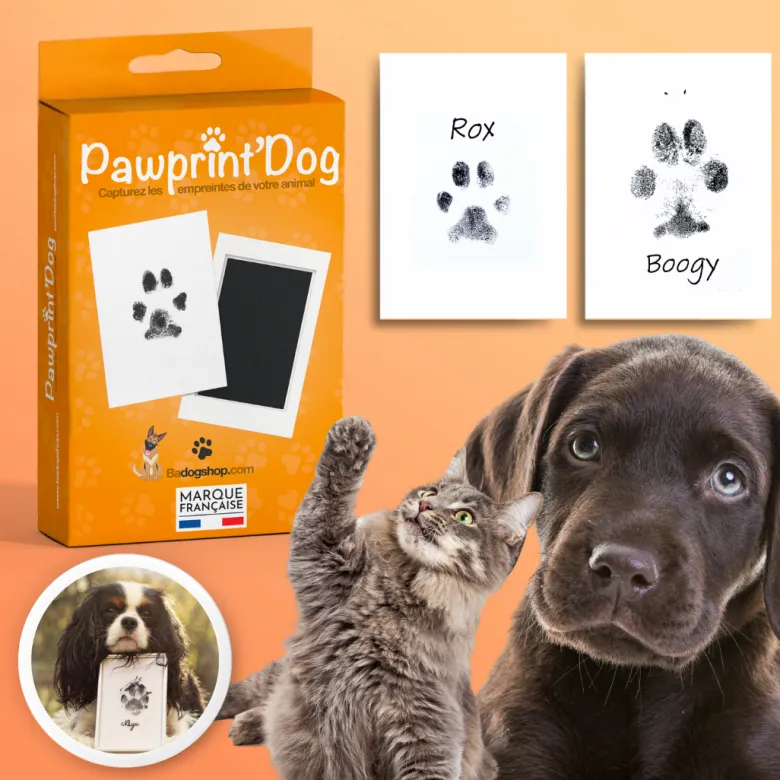 Kit empreinte patte chien & chat cadeau