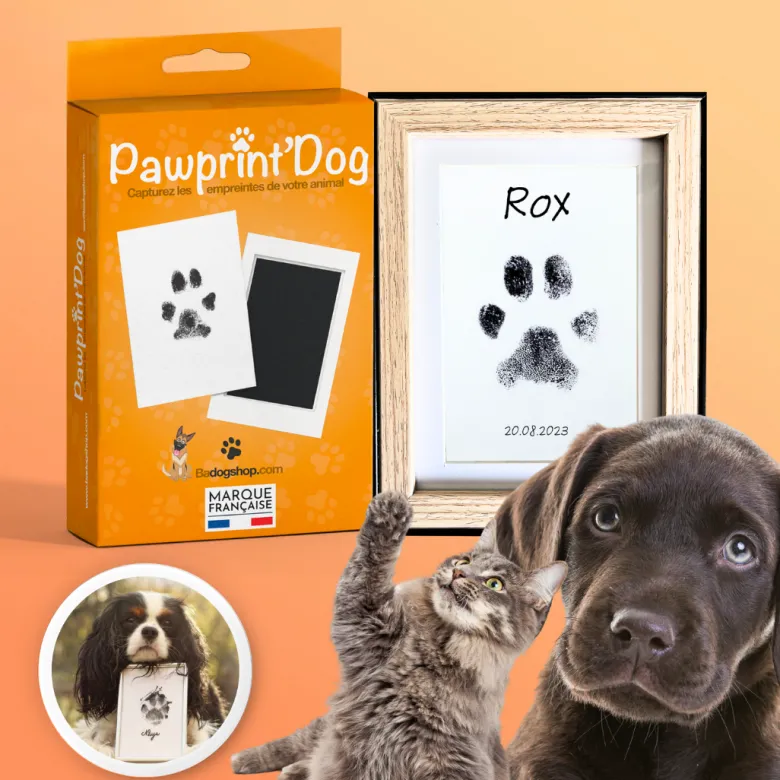 Kit empreintes chat chien + cadre photo